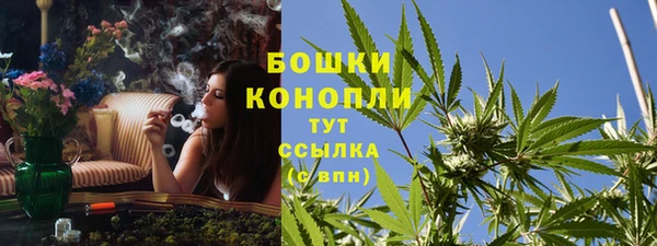 стаф Беломорск