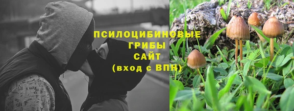 стаф Беломорск