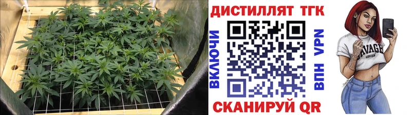 ТГК вейп  ссылка на мегу онион  Ворсма  как найти закладки 