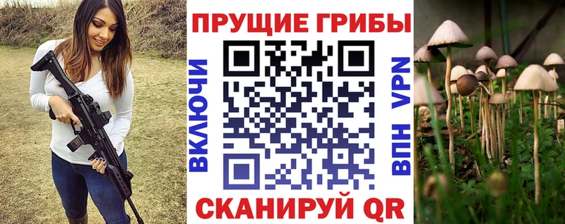 Псилоцибиновые грибы MAGIC MUSHROOMS Ворсма